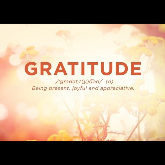 Meet your Posher, Charlotte - Picture 2 of 2